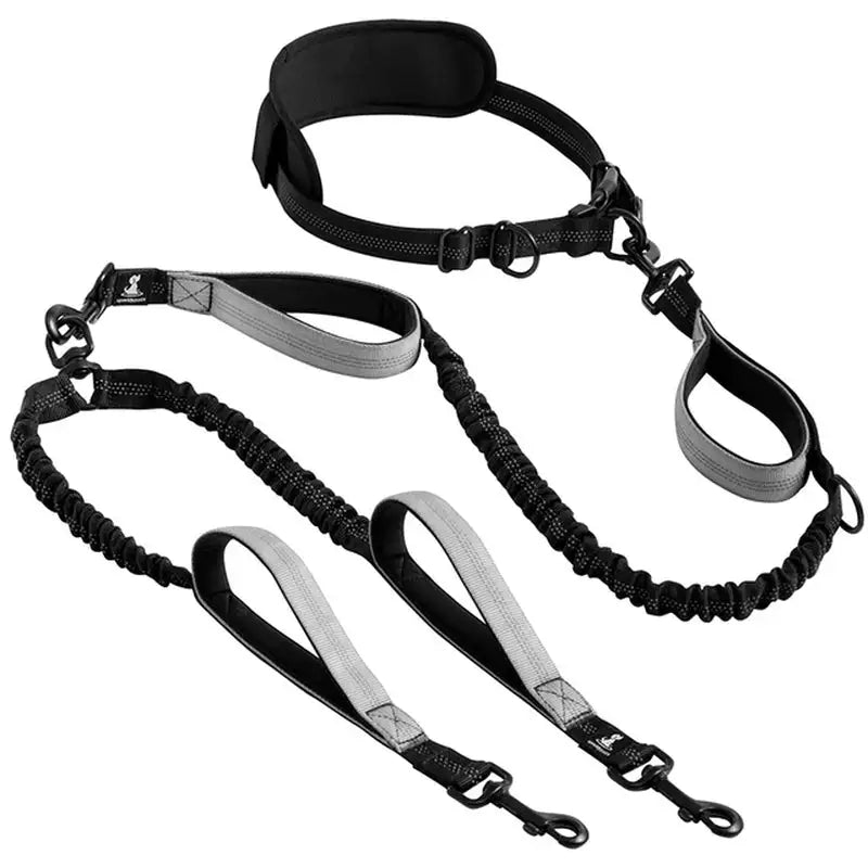 Comfort Leash Duo