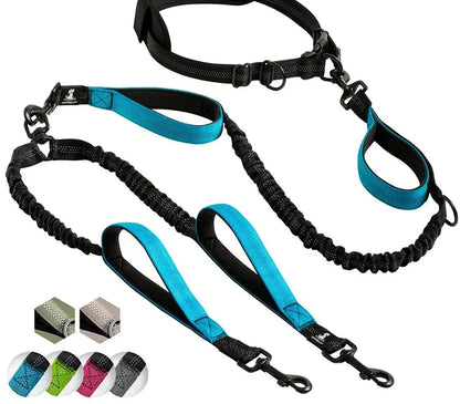 Comfort Leash Duo