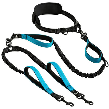 Comfort Leash Duo